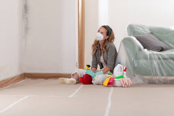 Reliable Mold Cleanup contractor in Lexington Park, MD by WQB Mold Removal
